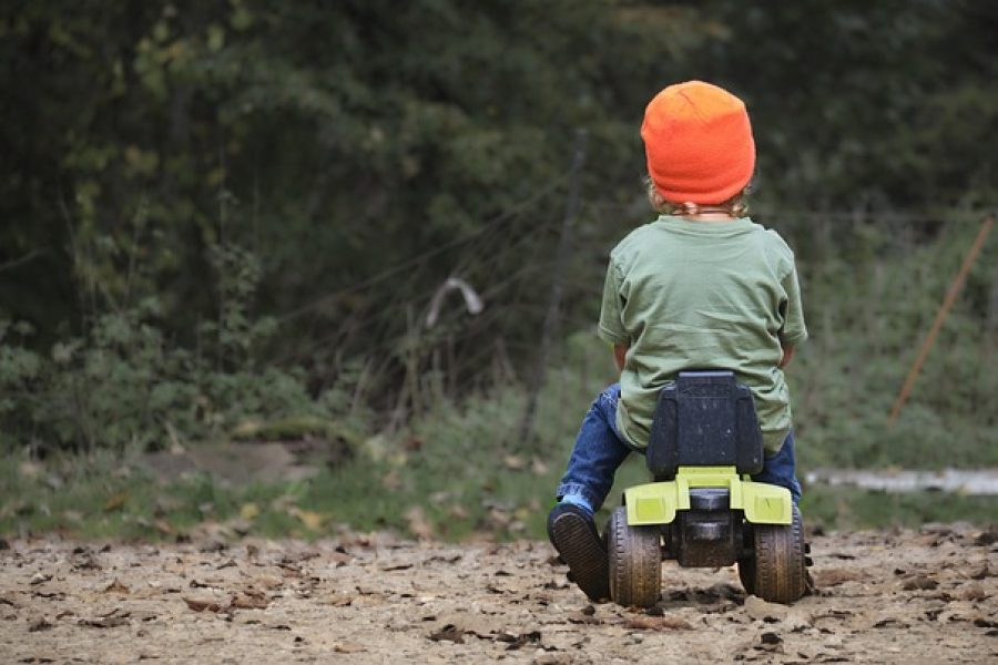 אילוסטרציה | Image by Daniel Kirsch from Pixabay