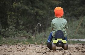 אילוסטרציה | Image by Daniel Kirsch from Pixabay