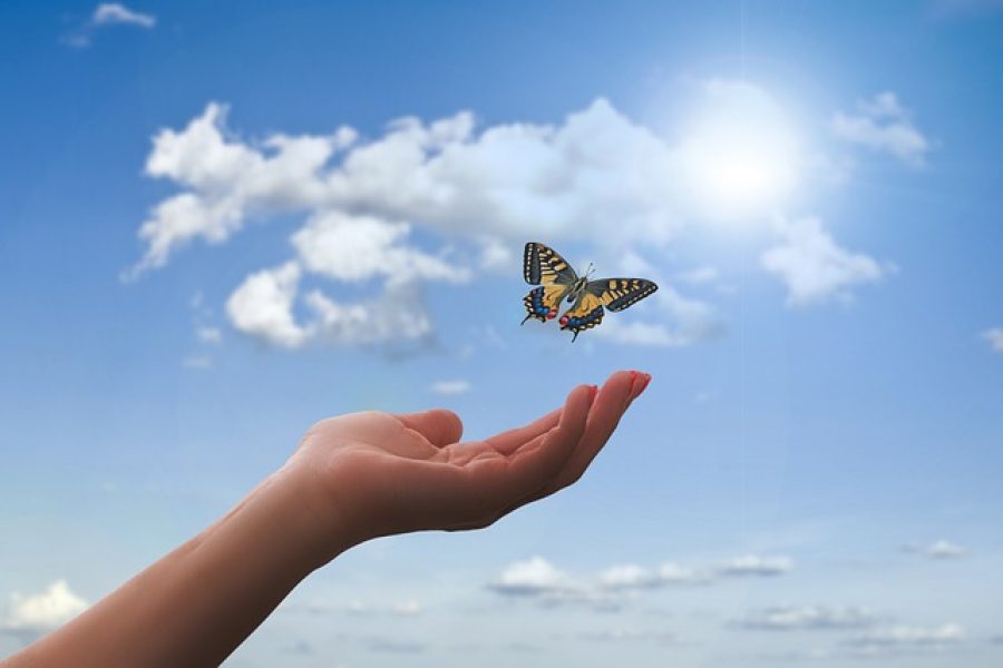 אילוסטרציה | Image by Gerd Altmann from Pixabay