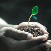 אילוסטרציה | Image by Pexels from Pixabay