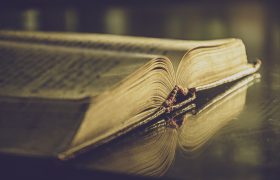 ספר | אילוסטרציה: Image by Ri Butov from Pixabay