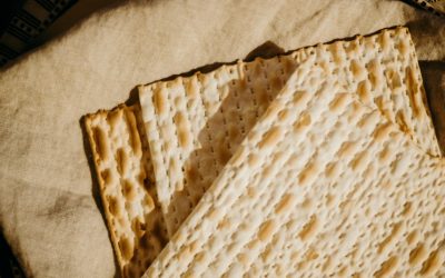 מצה - אילוסטרציה | Photo by cottonbro studio