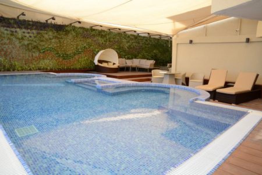 צפורי בכנרת