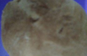 WhatsApp Image 2022-01-24 at 00.32.59