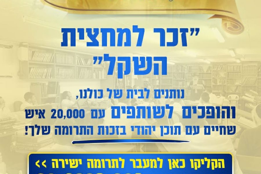 WhatsApp Image 2022-03-07 at 11.43.50