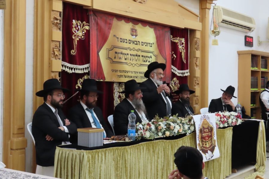 WhatsApp Image 2022-04-05 at 16.43.41