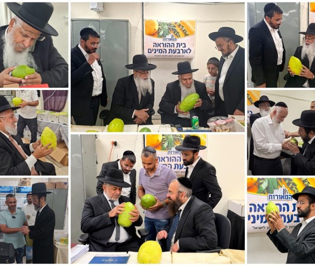 ארבעת המינים מכירת החסד ראש העין תשרי תשפז