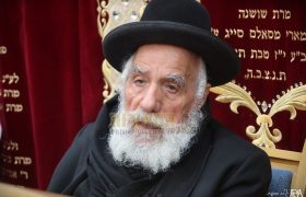 צילום: אלנתן אלוני