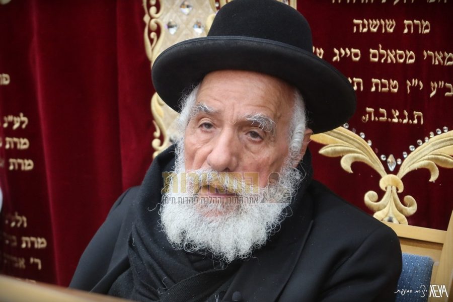 צילום: אלנתן אלוני