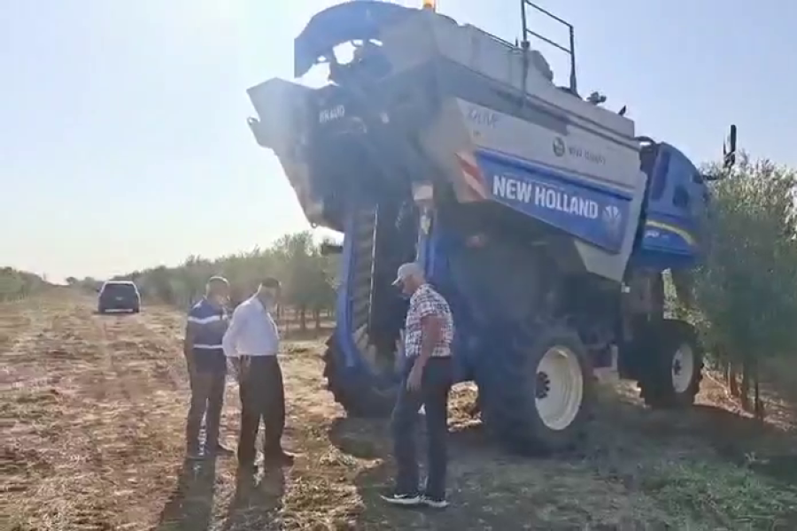 צילום מסך - חזי ישראל