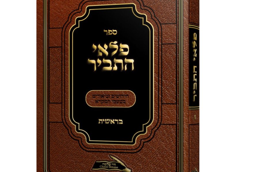 הדמיה פלאי התביר