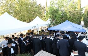 הילולת רבי יוסף צובירי אב תשפו (9)