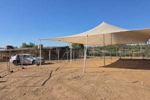הכנות בעגור לקראת הילולת רבי יצחק גברא תמוז תשפו (2)