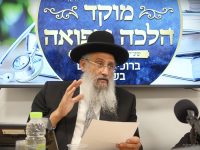 צילום ארכיון: אלנתן אלוני