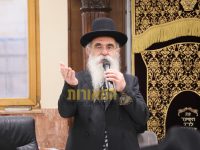 צילום: דוד ארזני