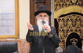 צילום: דוד ארזני