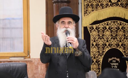 צילום: דוד ארזני