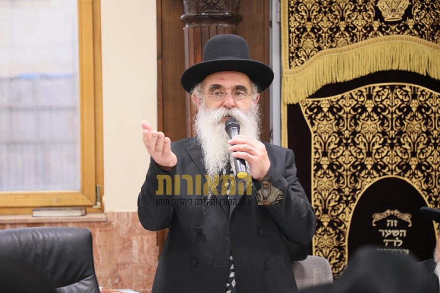 צילום: דוד ארזני