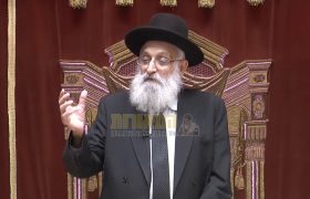 הגה"צ רבי אריה נדב זצ"ל | צילום מסך - מוסדות חיי עולם