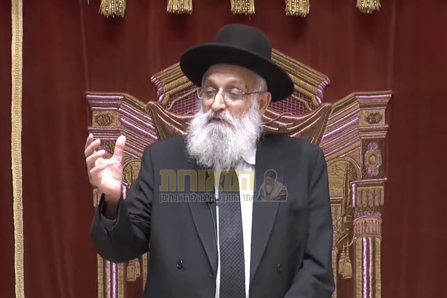 הגה"צ רבי אריה נדב זצ"ל | צילום מסך - מוסדות חיי עולם