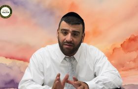 הרב אריה צברי צילום מסך