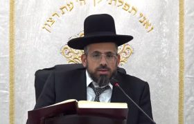 הגאון רבי דוד צדוק שליט"א - רב המושבים אורה, עמינדב ואבן ספיר | צילום מסך