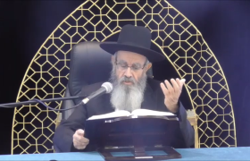 הרב חיים מגורי צילום מסך