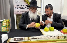 מו"ר ראש המוסדות שליט"א בוחן אתרוג ב'מכירת החסד', אשתקד