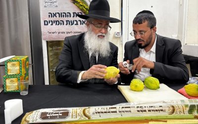מו"ר ראש המוסדות שליט"א בוחן אתרוג ב'מכירת החסד', אשתקד