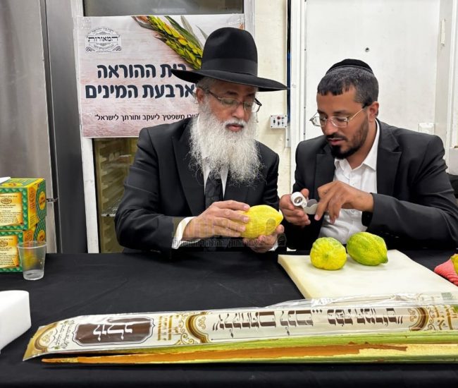 מו"ר ראש המוסדות שליט"א בוחן אתרוג ב'מכירת החסד', אשתקד