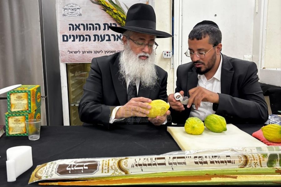 מו"ר ראש המוסדות שליט"א בוחן אתרוג ב'מכירת החסד', אשתקד