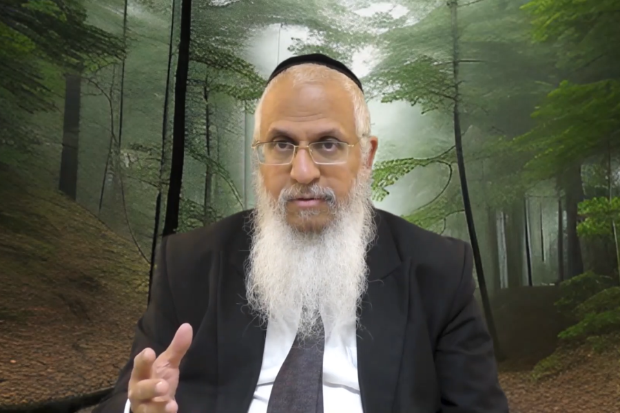 הרב-יורם-סרי-צילום-מסך-45