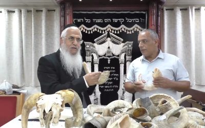 הרב יורם סרי צילום מסך
