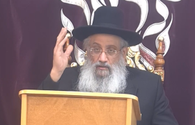 הרב יצחק מועלם צילום מסך