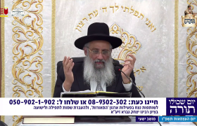 הרב יצחק מועלם צילום מסך