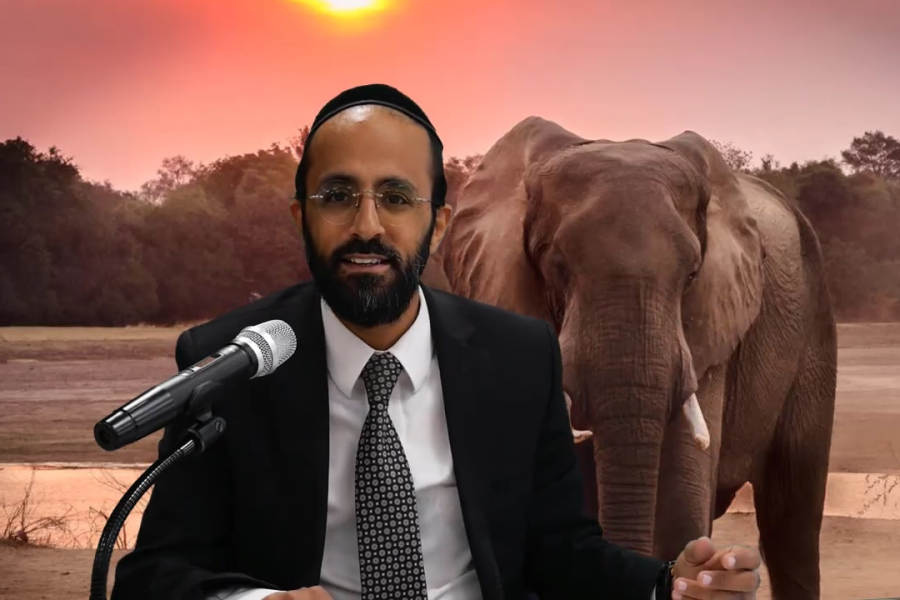 הרב ישי יפת צילום מסך