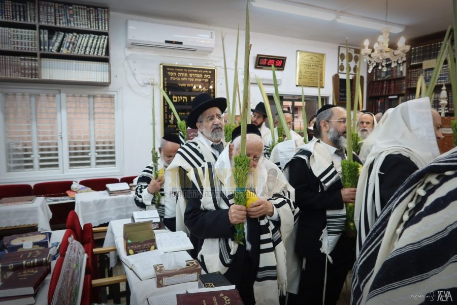 הרב פנחס קורח 1 הושענות שערי הלכה בב ג סוכות תשפו צילום אלנתן אלוני (5)