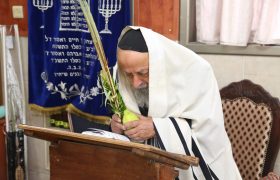 צילום: יעקב כהן