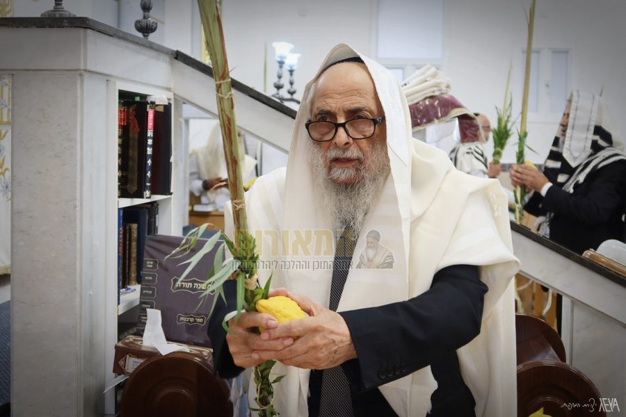הרב ששון כהן בהושענות ו סוכות תשפו צילום אלנתן אלוני (5)