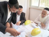 חלוקת תוי מזון עזרת אחים סוכות תשפז (3)