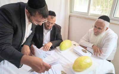 חלוקת תוי מזון עזרת אחים סוכות תשפז (3)
