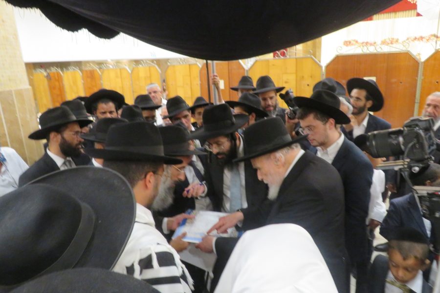 חתונת נכדת הרב חיים מגורי (7)