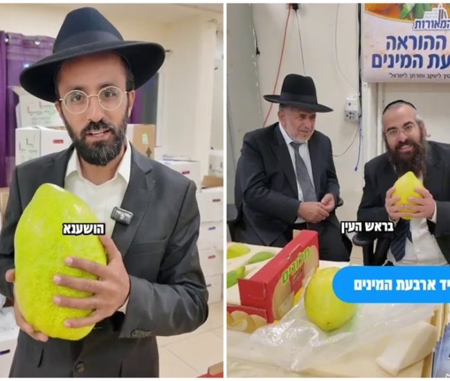 יריד ארבעת המינים ראש העין תשפז