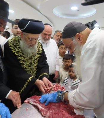 כנס השתלמות ניקור בשר הרב יוסף בן דוד מועצה דתית אשדוד סיון תשפו (15)