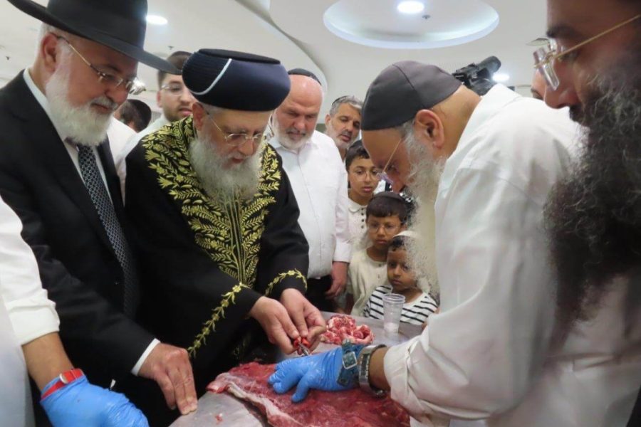 כנס השתלמות ניקור בשר הרב יוסף בן דוד מועצה דתית אשדוד סיון תשפו (15)