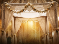 כתבה מגבית המאורות אייר תשפו