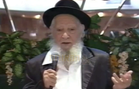 מארי סאלם שרעבי צילום מסך