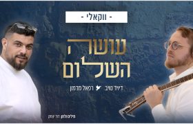 עטיפה עושה השלום דיויד טויב ורפאל מדמון ווקאלי