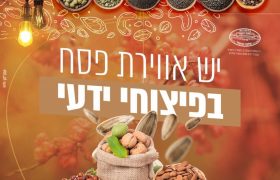 פרסום פיצוחי ידעי תמונה ראשית