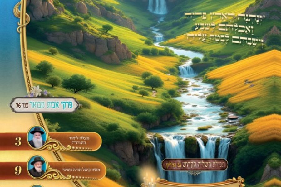 צילום מסך 2025-05-17 235227